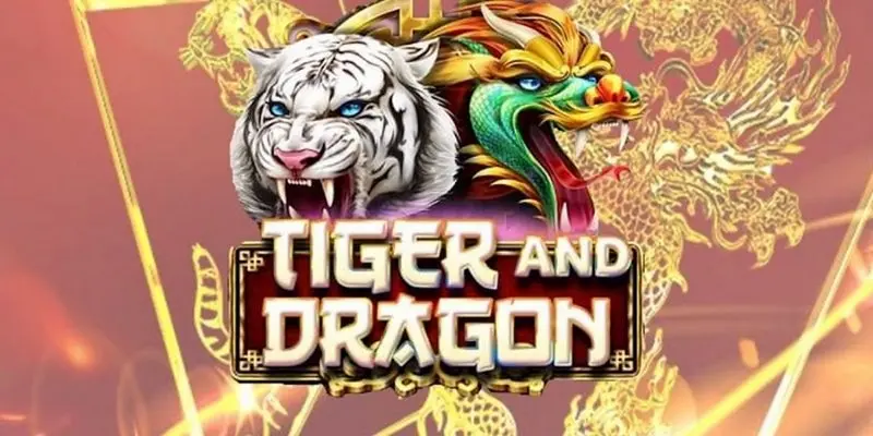 Dragon Tiger and information new players need to know