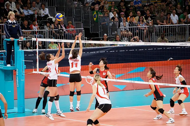 Explore volleyball positions on the field with Peso888